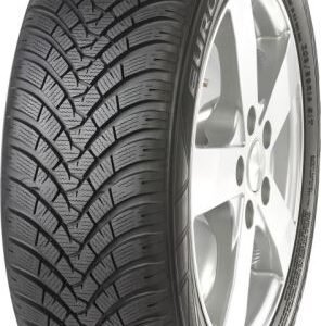 Falken EUROWINTER HS01 175/65R17 87H