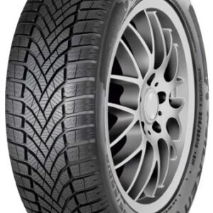 Falken EUROWINTER HS02 205/60R16 92H