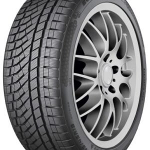 Falken EUROWINTER HS02 PRO 225/50R17 98V